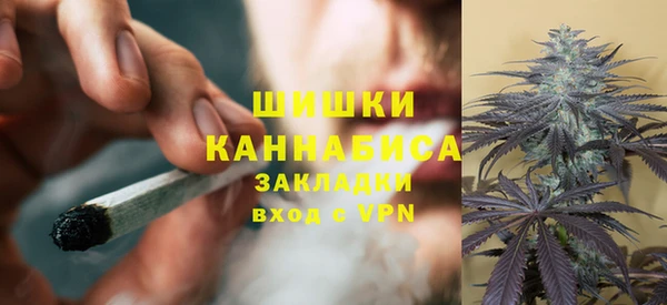 дмт Верея