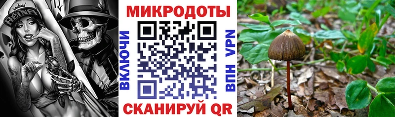Купить где  Бородино  Галлюциногенные грибы ЛСД 